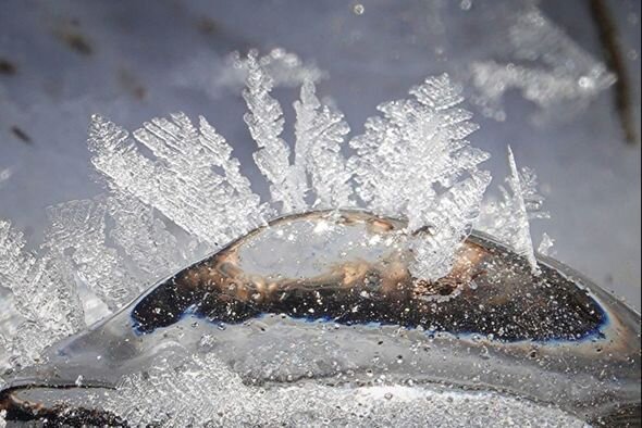 Planetdə ən soyuq yaşayış məntəqəsinin yerləşdiyi Yakutiyadan maraqlı kadrlar yayıldı - FOTO/VİDEO