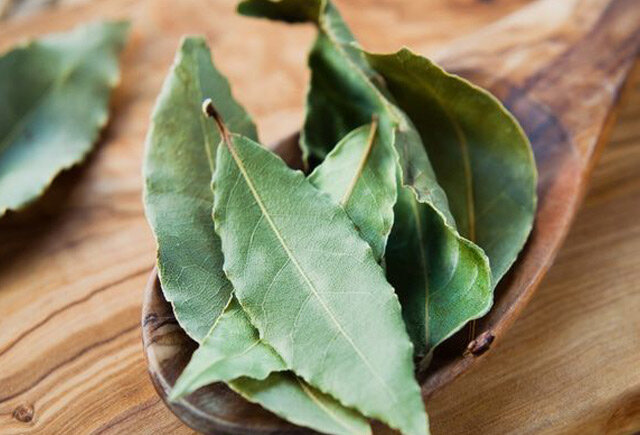 Dəfnə yarpağının 13 xəstəliyə möcüzəvi təsiri - Təzyiqdən tutmuş xərçəngə kimi