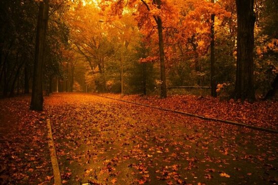 Dekabr ayının hava proqnozu açıqlandı