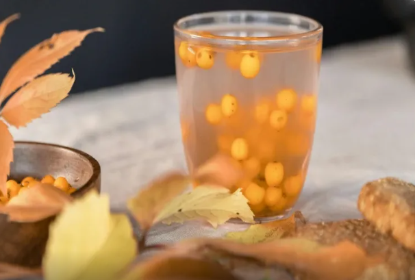 Dəniz iti - Kimlər üçün FAYDALIDIR?