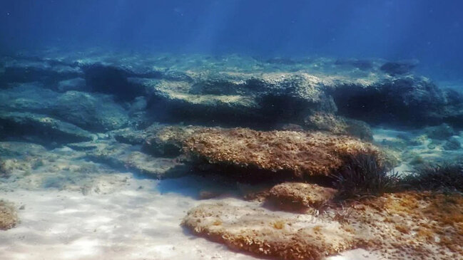 Sakit okeanda alimlər ilk dəfə "qara oksigen" tapdı: Bu tapıntı niyə təhlükəlidir?