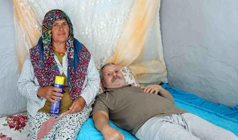 İflic həyat yoldaşına görə milçəklərlə mübarizə aparan qadın yardım istədi