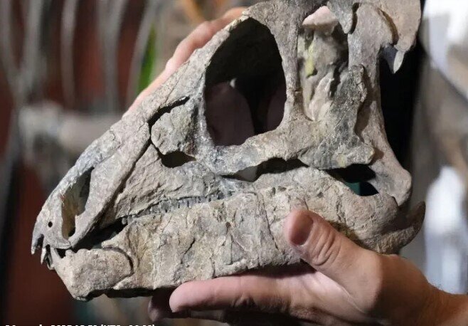 Dinozavr ətinin dadı necədir? - Gözlənilməz CAVAB