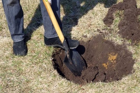 Gürcüstanda azərbaycanlılar diri-diri BASDIRILIBMIŞ - FOTOFAKT
