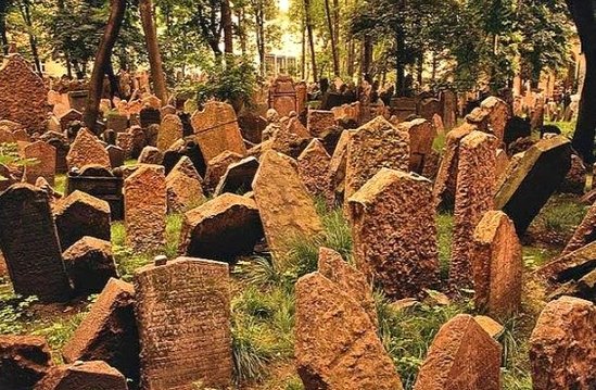 Gürcüstanda azərbaycanlılar diri-diri BASDIRILIBMIŞ - FOTOFAKT