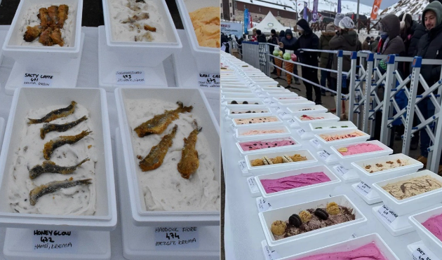 Türkiyədə 1 301 çeşid dondurma ilə dünya rekordu: Balıqlı, kələmli, fındıqlı...