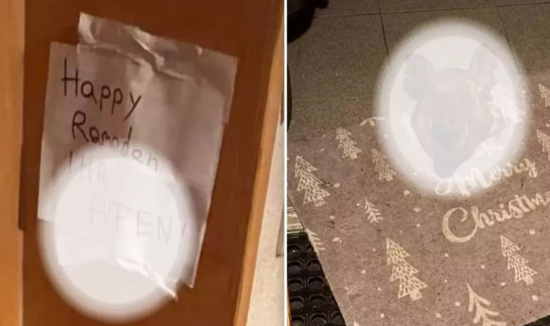 Avstriyada türk ailənin qapısına donuz başı qoyublar