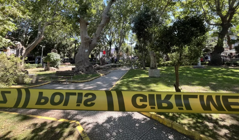 Ağacının budağı insanların üstünə düşdü – Ölənlərin sayı 2-yə yüksəldi