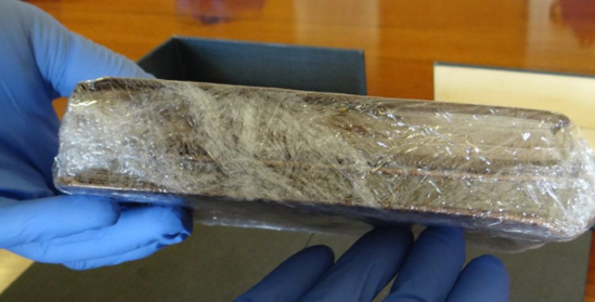 Çarlz Darvinin "oğurlanmış" dəftərləri tapıldı - FOTO