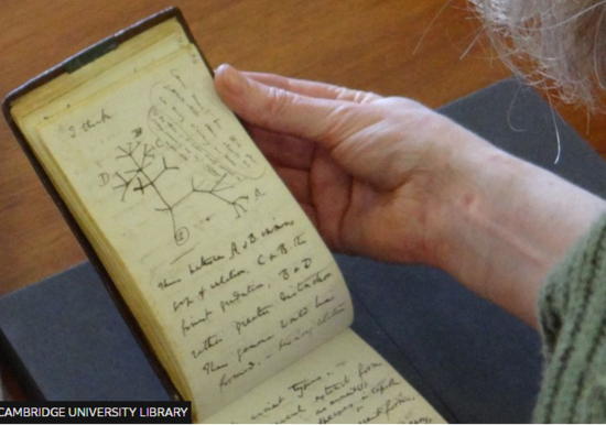 Çarlz Darvinin "oğurlanmış" dəftərləri tapıldı - FOTO