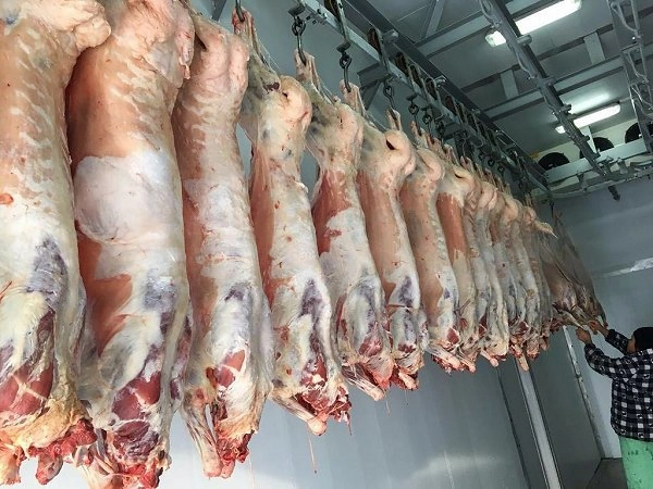 Bakıda satılan "monqol quzuları" təhlükəsizdir? - AÇIQLAMA