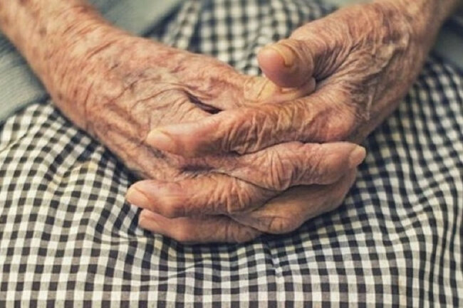 Bölgələrə görə yaşlıların sayı nə qədərdir? - VİDEO