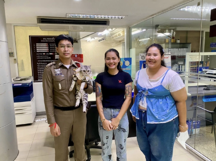 Polisə hücum edən pişik həbs olundu, pəncə izləri alındı