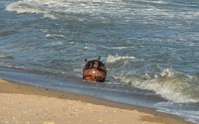 Ukraynada iki nəfər dəniz minasına düşərək həlak olub