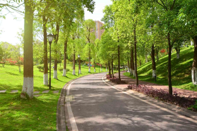 Bakının bu ərazisində nəhəng park salınır