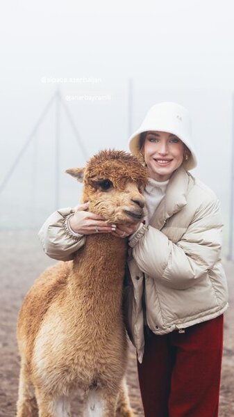 Prezidentin gəlininin alpaka fermasından maraqlı - Fotoları