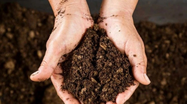 Azərbaycan Belarusdan torf tədarükünü kəskin artırıb