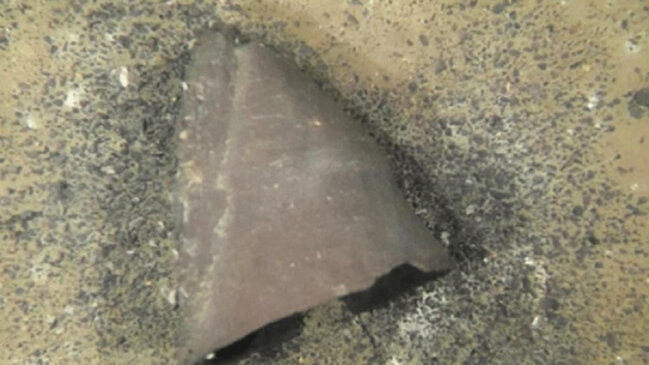 Yaponiyada edilən kəşf alimləri heyrətləndirdi: 10 min yaşı var...