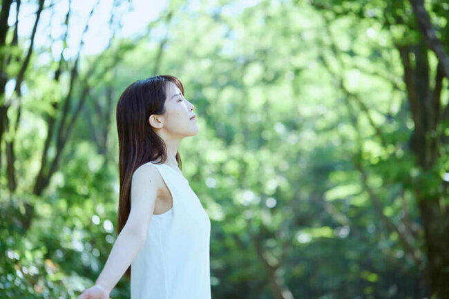 Yaponiyadan dünyaya yayılan axın: Meşə vannası