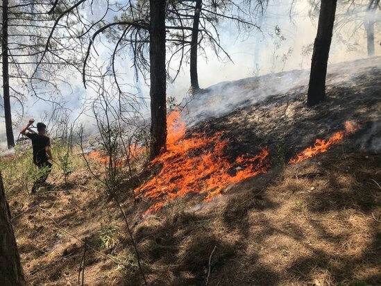 Türkiyədə yenidən meşə yanğını başladı - FOTOLAR