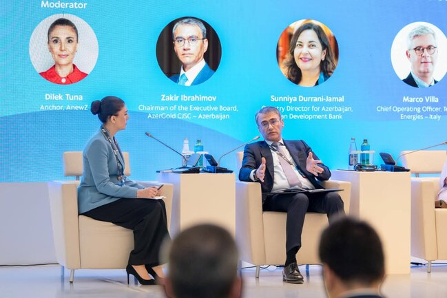 "Kritik xammal və qlobal iqtisadi təhlükəsizlik" mövzusunda panel sessiya keçirilib