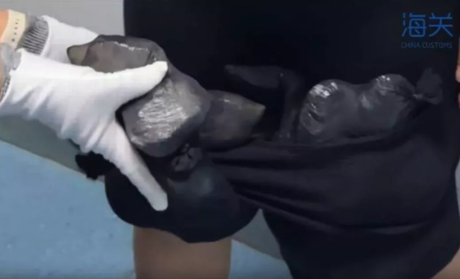 68 tısbağanı bu yolla sərhəddən keçirmək istədilər - Çində kuryoz hadisə