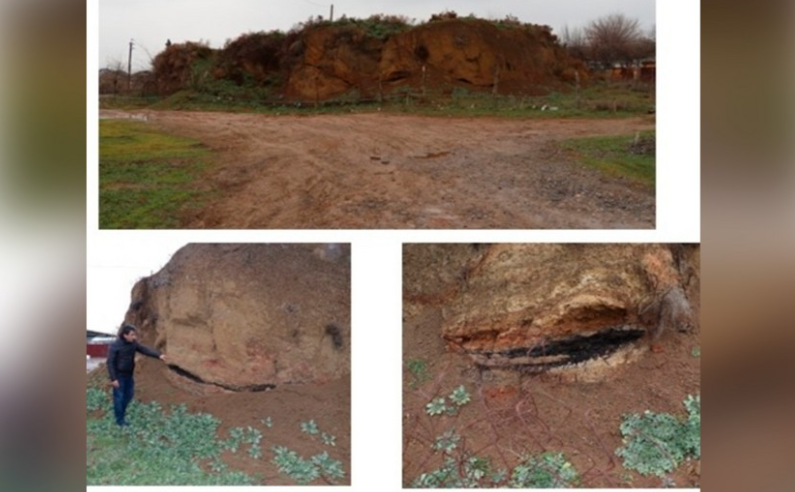 Yedditəpə kurqanlarınından yaştəyini üçün nümunələr götürülüb