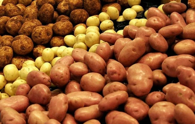 Kartof qıtlığına qarşı sərt addım: Belarus müəssisələrinə cərimələr tətbiq olunacaq