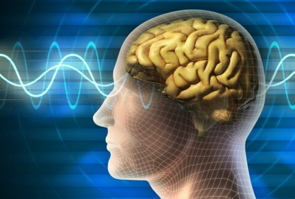 Alimlər beyində xatirələrin "yenidən yüklənməsi düyməsi"ni aşkarlayıblar