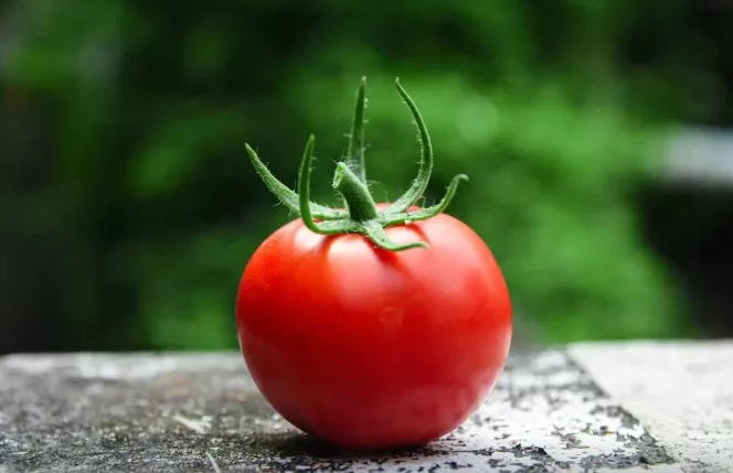 Niyə həkimlər hər gün təzə pomidor yeməyi tövsiyə edir?