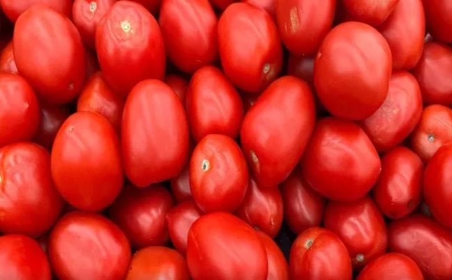 Pomidorları necə və nə qədər suvarmaq lazımdır? - bol məhsul üçün qaydalar