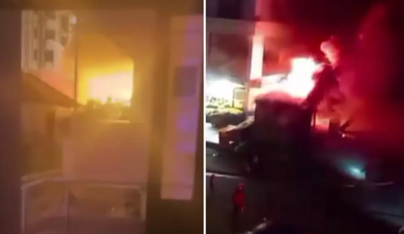 Elektrik dirəyinə dırmaşan ayı çətinliklə xilas edildi - VİDEO