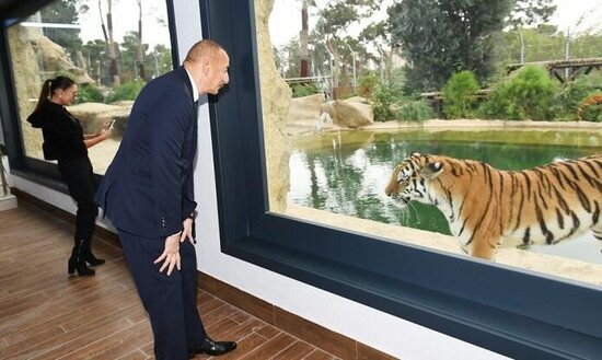 Əliyevlə Putin pələngləri, Paşinyan isə itləri... - Korotçenko