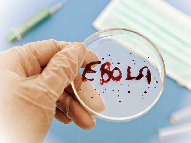 Konqoda Eboladan ölənlərin sayı 360 nəfərə çatıb