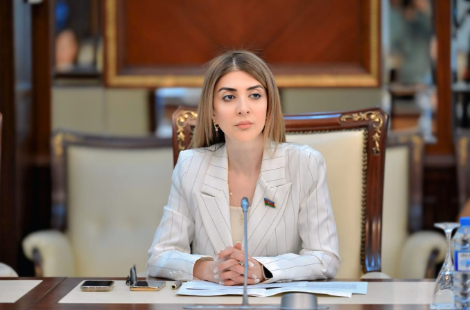 "Naxçıvana ölüm yağdırmaq cəhdi Tehranın siyasi əxlaqdan kənar olduğunu sübuta yetirir" - DEPUTAT