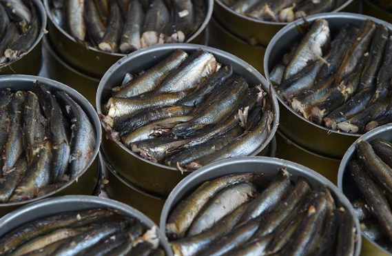 Konservlərin ən təhlükəli NÖVÜ