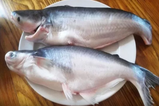 Dünyanın ən pis balığı