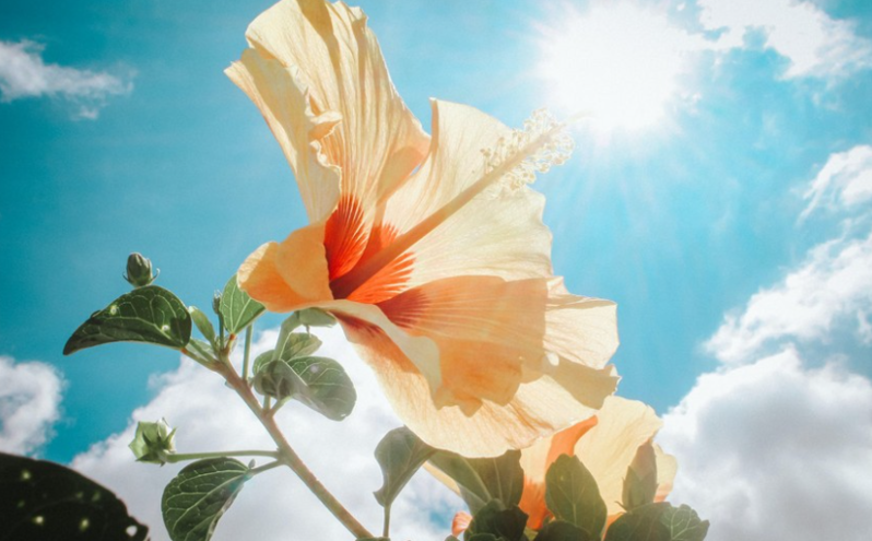 İyulun 23-dək Azərbaycanda 41 dərəcə isti olacaq