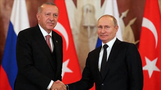 Putin və Ərdoğan taxıl dəhlizini müzakirə edə bilərlər