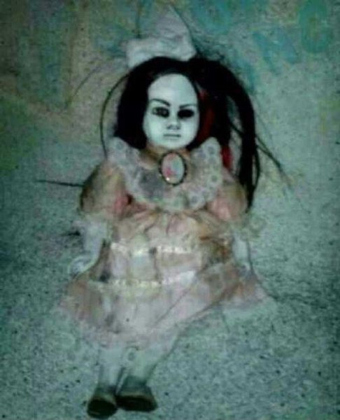 ŞOK FAKTLAR: Sahibini zorlayan, öldürən KUKLALAR - FOTO/VİDEO