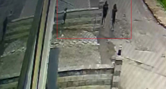 Yeni evlənən cütlüyün 700 min dəyərində zinət əşyasını 22 dəqiqədə OĞURLADILAR