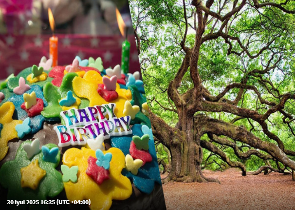 Doğum ayınıza görə hansı ağacsınız - Bu nəyi simvollaşdırır?