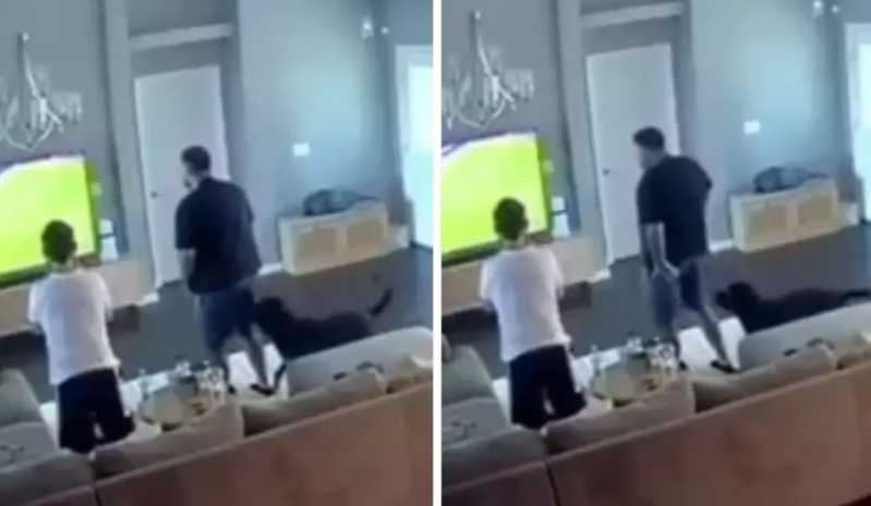 Gecə evdə futbol izləyən azarkeşi öz iti dişləyib - VİDEO