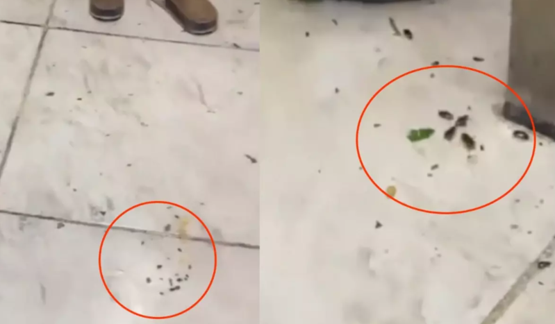 Hər gün yüzlərlə insanın getdiyi restoranın mətbəxindən ürəkbulandıran görüntülər - VİDEO