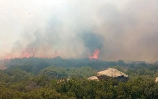 Türkiyədə daha bir meşə yanır - FOTOLAR