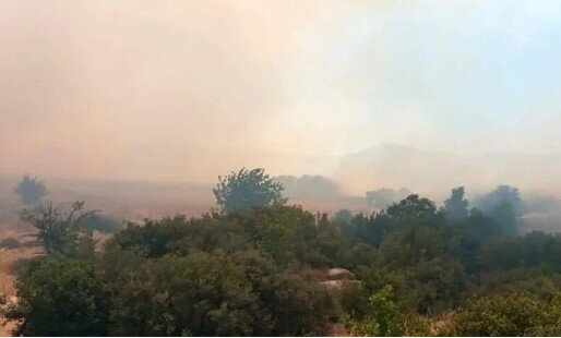 Türkiyədə daha bir meşə yanır - FOTOLAR
