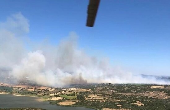 Türkiyədə daha bir meşə yanır - FOTOLAR