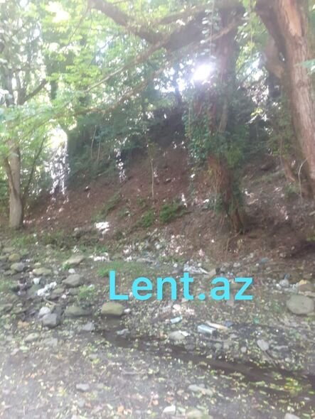 Otelə qəfil zəng, Zaqatalada qeybə çəkilən hindistanlı turist: "Diri tapın" - TƏFƏRRÜAT + FOTO