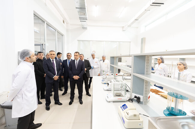 Nizami Rayon İcra Hakimiyyətinin başçısı Sahibkarlar Günü ilə əlaqədar "Ulduz" şokolad fabrikini ziyarət edib