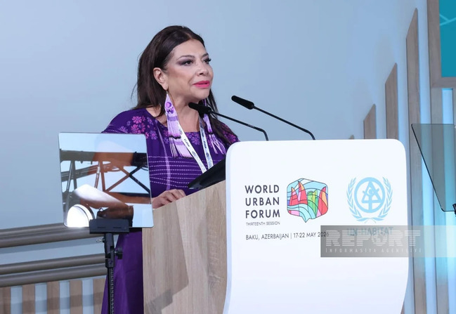 WUF13-ün birinci günü başa çatıb - FOTOLAR